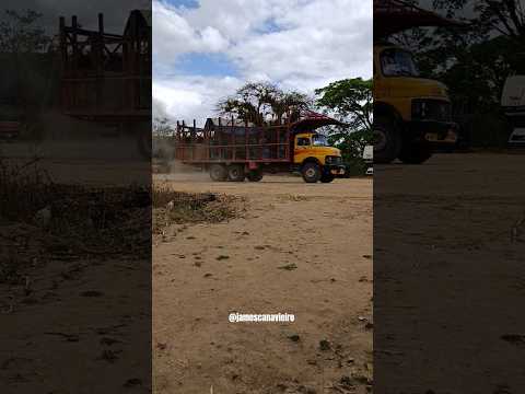MOVIMENTAÇÃO NA USINA TAQUARA EM COLÔNIA LEOPOLDINA ALAGOAS.