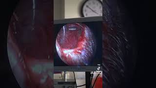NassifMD Plastic Surgery