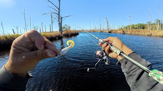 Tiny Bait. Big Day(s).