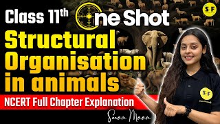 STRUCTURAL ORGANISATION IN ANIMALS One Shot Biology | Class 11 Biology NCERT Explanation