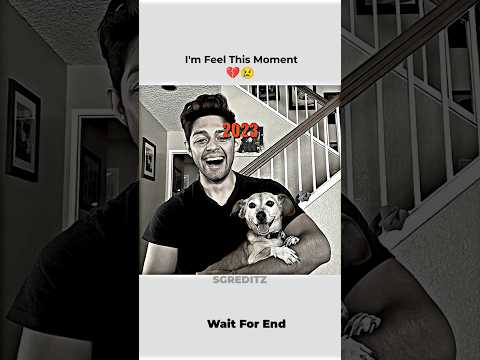 I'm Feel This Moment 😔 #shorts  #dog #dogshorts #cat #love #pets #foryou