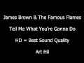 James Brown & The Famous Flames - Tell Me What You're Gonna Do