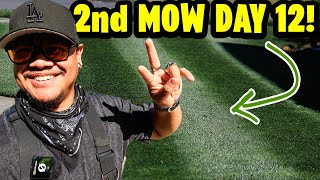 2nd Mow already? It’s been 12 days 😂