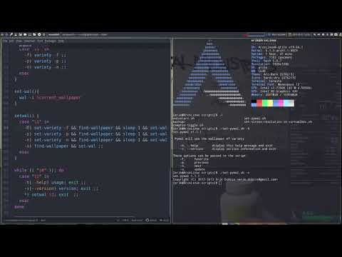 ArcoLinux : 917 set-pywal.sh script on Qtile explained