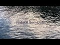 藤原ヒロシ Hiroshi Fujiwara - Natural Born Dub