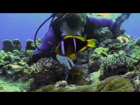 Tonga, Insel Euà,Tonga