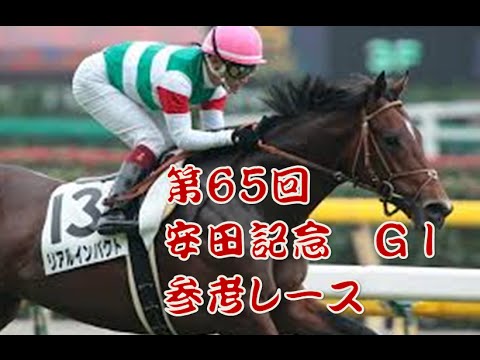 競馬2015　第65回 安田記念(ＧＩ)　参考レース【Y氏の馬券】Yasuda Kinen (G1) Tokyo Racecourse