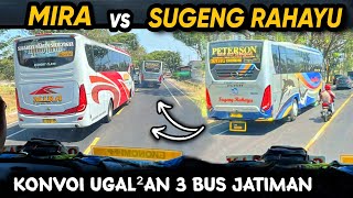 Download lagu 'KONVOI UGAL-UGALAN BALAPAN 3 BUS JAWATIMURAN 🔥' SUGENG RAHAYU vs MIRA vs RESTU Balapan Ngeblong mp3