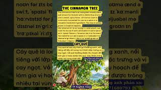 "Cây quế" tiếng Anh là gì   #vocabulary #toeic #ielts #hoctuvung #tuvungtienganh