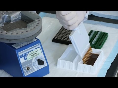 HaloPlex: AMPure Purification