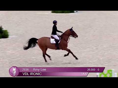 VDL Ironic video 3
