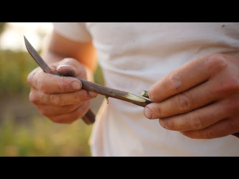 Ovocná a okrasná škôlka Biele Karpaty