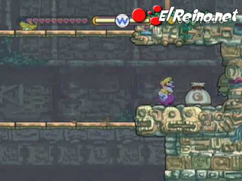 wario land the shake dimension wii walkthrough