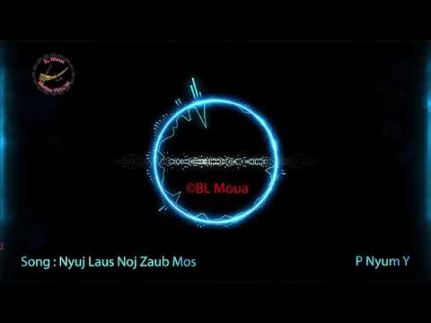 P Nyuam Y -  Nyuj Laus Noj Zaub Mos / 4K Video / Adobe After Effect Audio Spectrum