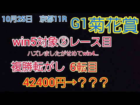 【win5⑤菊花賞】【複勝転がし6転目】コントレイル三冠なるか！？ワイド一点勝負 2020.10.25京都11R