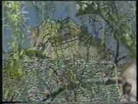 Dobri Stavrevski - Onaa strana ogan gori