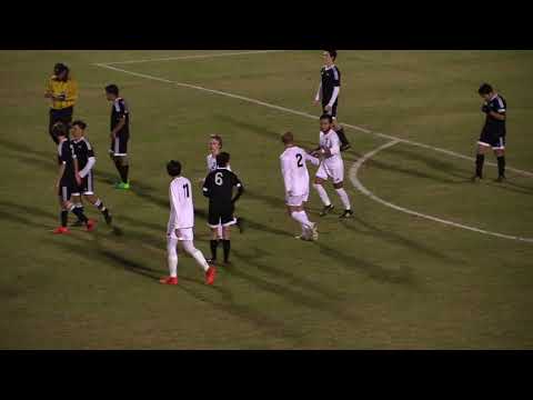 2018 01 24 - AHS v South Walton - Goals