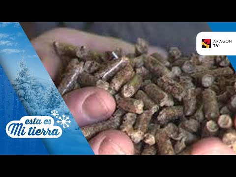 The largest pellet factory in Spain