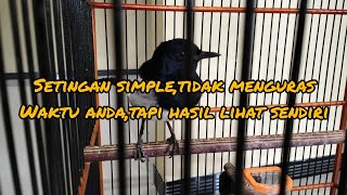 Download lagu SETTINGS FOR KACER WITHOUT SUNNING mp3