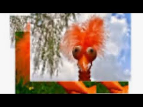 Czy ktoś widział dziub dziuba?