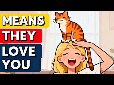 12 Things Cats Do When They Love You