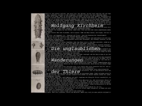 Wolfgang Kirchheim - Die unglaublichen Wanderungen der Thiere