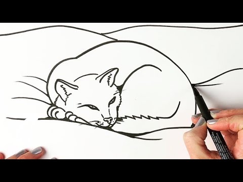 How to draw a sleepy cat