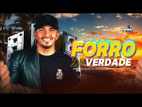 MIMIN DO GADO - PROMOCIONAL DEZEMBRO 2024 (FORRÓ DE VERDADE 2)