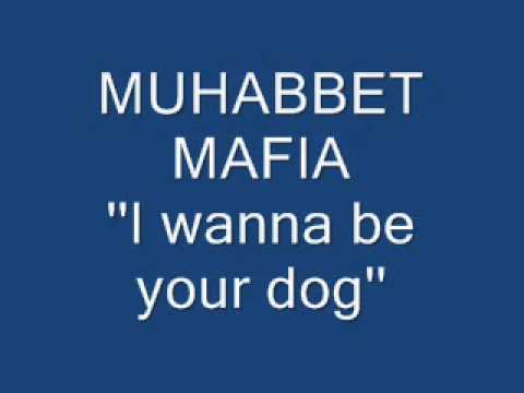 Muhabbet Mafia - ''I wanna be your dog''