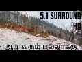Adi Aadivarum Pallaakku Song Video Song I Love India Movie Sarath Kumar Shenbagam