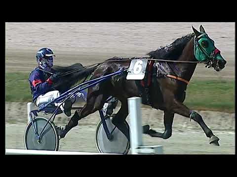 Napoli Trotto 02/04/2021 - 1ª corsa