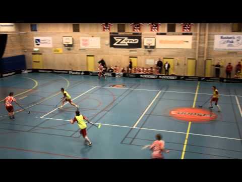 150110 Jas Pixbo FBC Lerum P1