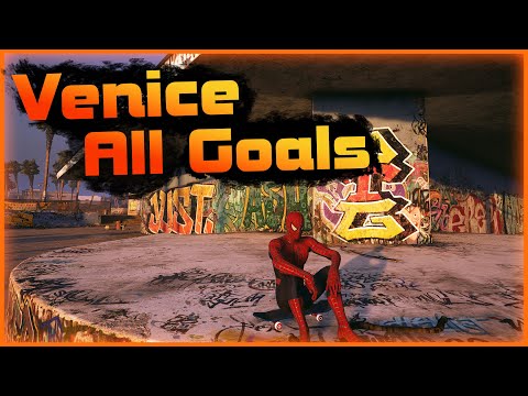 All Venice Beach Goals | THPS 1+2 |