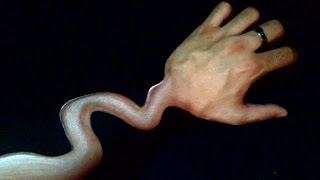 Strange Hand Illusion : Trick Art Step by step !