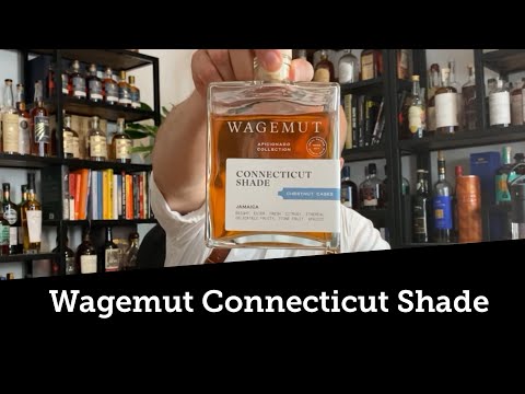 Video review: N. Kröger Wagemut Connecticut Shade (Aficionado Collection)