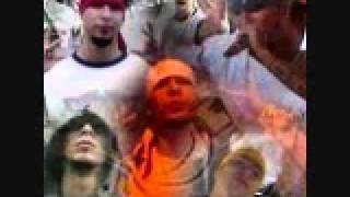 cartel de santa warrior