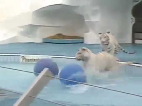 Modern Talking Blue system vs loni cash