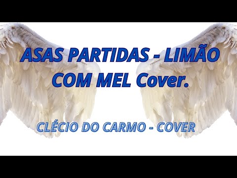 Broken Wings (Asas Partidas) - Limão com Mel