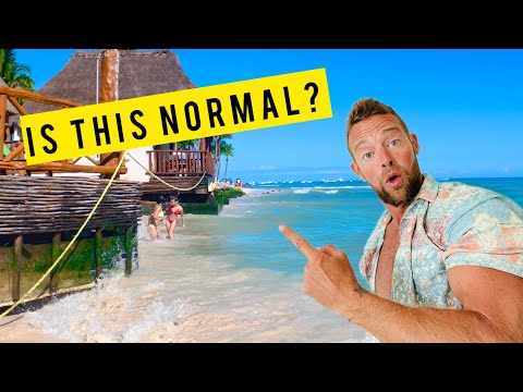 What’s Happening to Playa del Carmen’s Beaches?😳