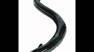 Panettone Farlocco....