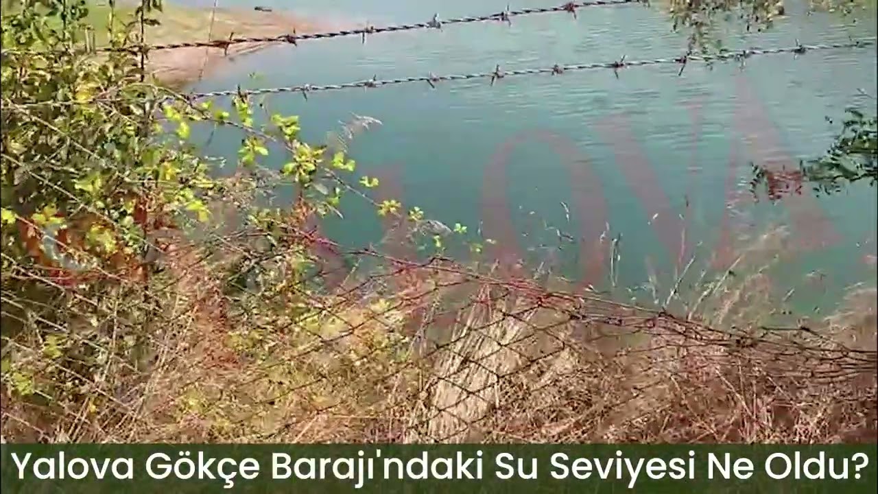 Yalova Gökçe Barajı'ndaki Su Seviyesi Ne Oldu?