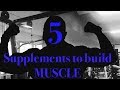 5 Supplements To Build Muscle | Mike Burnell