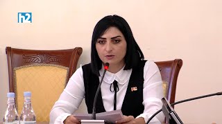 Տեսակցել եմ պրոֆեսորին, վիճակը ծայրահեղ ծանր է. եթե խափանման միջոցը չփոխվի, հետևանքն անդառնալի կլինի