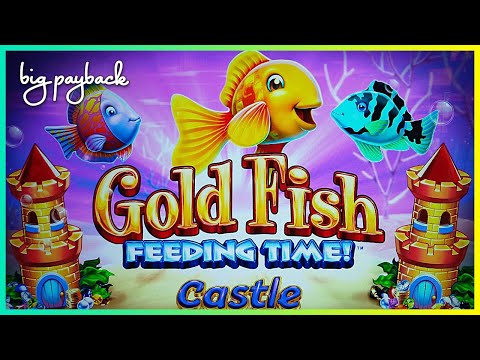 Ready for a BIG Win RETRIGGER? It's the NEW Gold Fish Slot! - YouTube