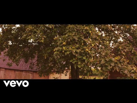 Zlatni Dukati - U Mom Selu Širok Šor