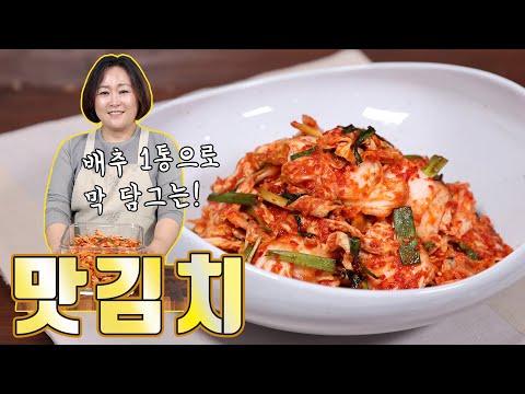 김치가 떨어졌다면! 바로 담가보세요 맛김치~
