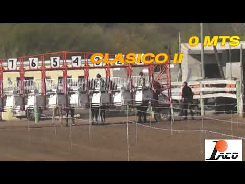2X3 HIPODROMO DON SOHAR CRUZ DEL EJE 28 08 2022