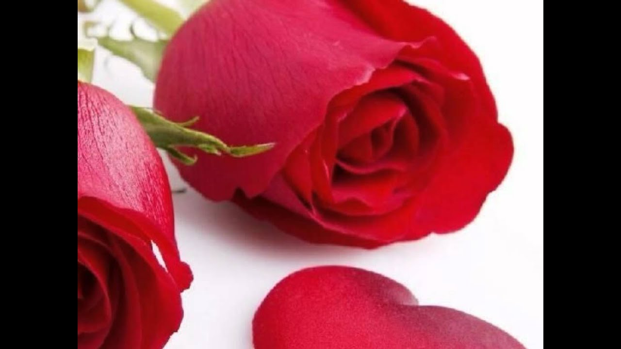 Meri Neend Kahin Ud Jaye Lyrics  | Ganga Ka Vachan | Avtar Gill, Gulshan Grover | Alka Yagnik, Udit Narayan | Nikhil, Vinay