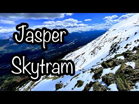 Jasper Skytram | things to do in Jasper national park,Alberta-canada| Road Trip Day-2 #jasper