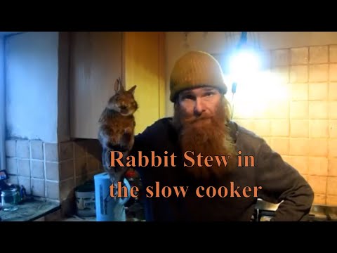 download lagu mp3 mp4 Rabbit Casserole In Slow Cooker, download lagu Rabbit Casserole In Slow Cooker gratis, unduh video klip Rabbit Casserole In Slow Cooker